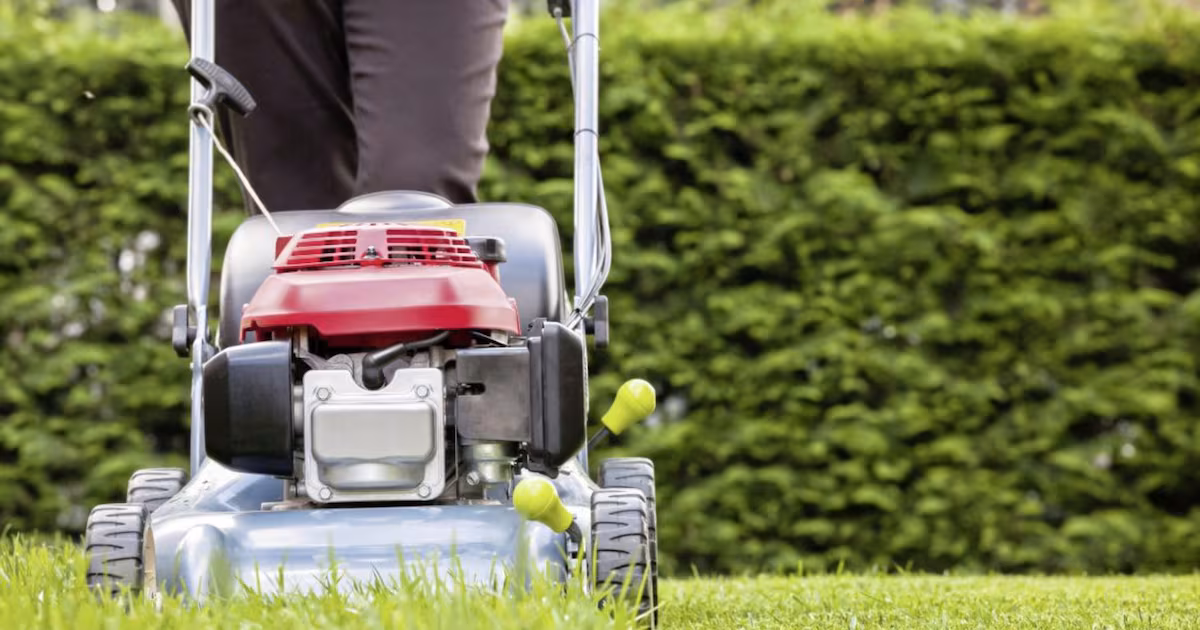 Use Grass Cuttings for a Healthier Garden