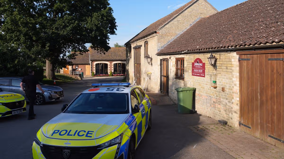 Boy Injured in Crocodile Enclosure Incident