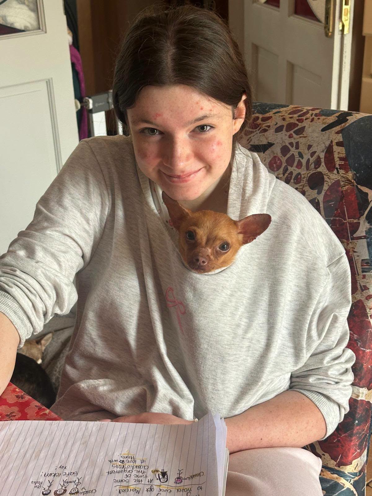 Chihuahua Puppy Rescued in Galway