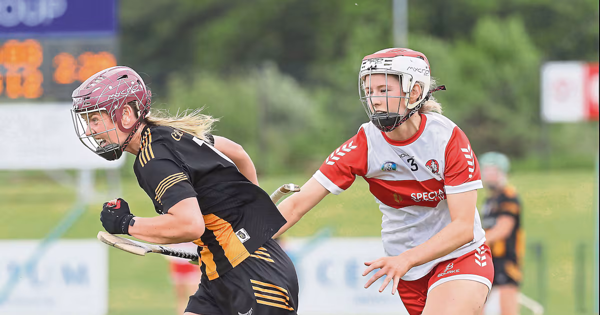 Kilkenny defeats Waterford in camogie quarter-finals