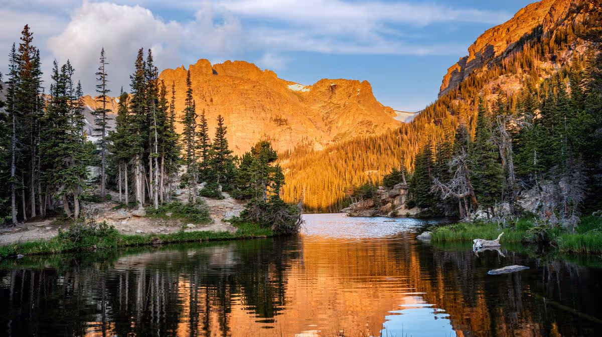 Camping Trip Sparks Bigfoot Speculation