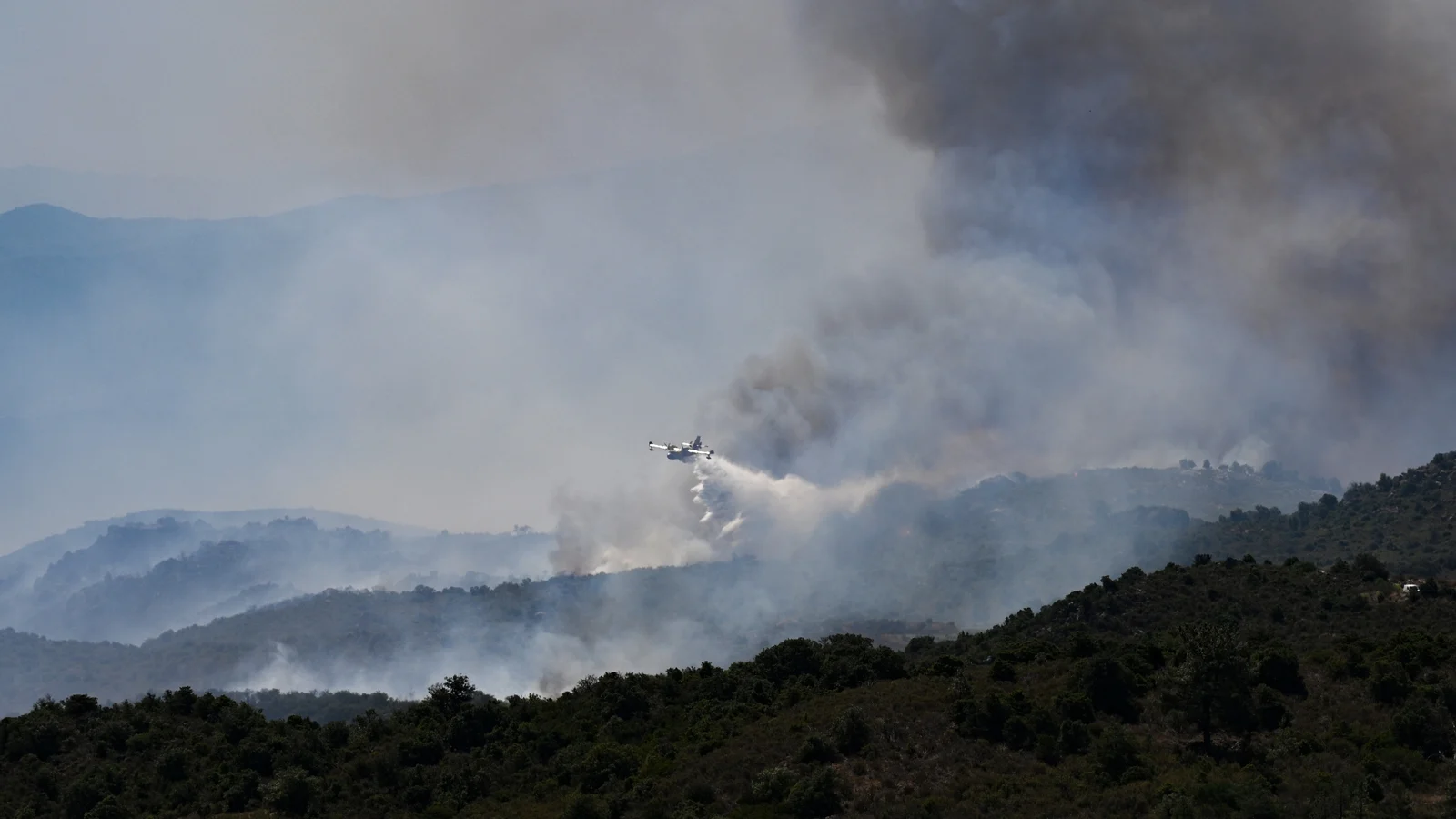 Infernos devastate forests as Europe heats up
