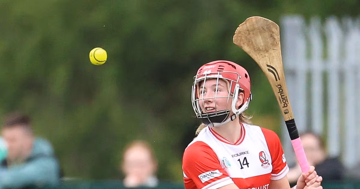 Meath Defeats Derry in Camogie Championship Quarter-Final