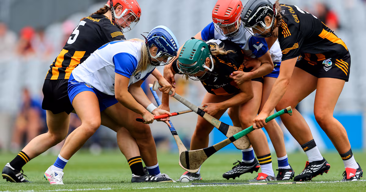 Kilkenny defeats Waterford in All-Ireland camogie quarter-final