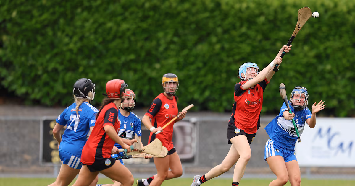 Laois knocks Down out of camogie championship
