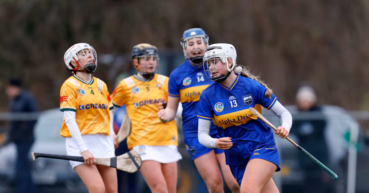 Tipperary Advances to Camogie Semi-Final
