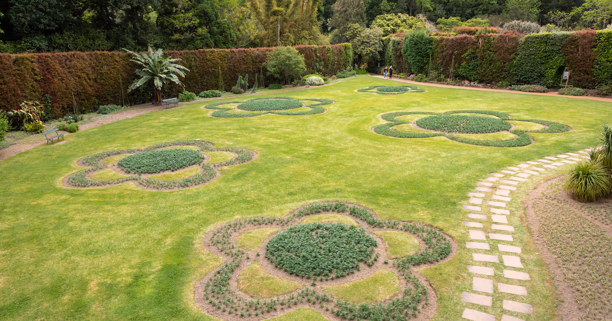 Tapestry Lawns: A Solution for Hot Weather