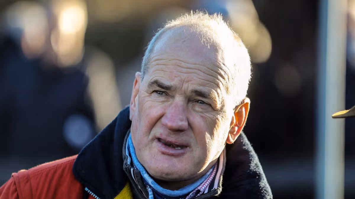 Irish Trainer Praises Jockey Daniel King