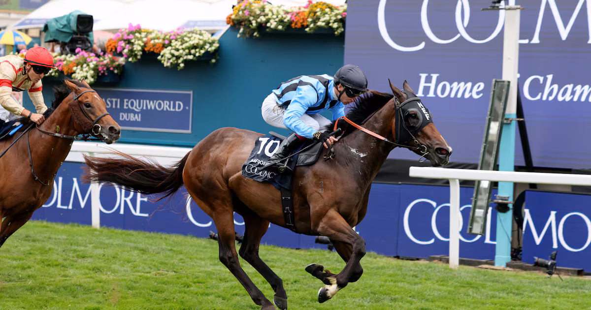 Dwyer considers final race for Asfoora