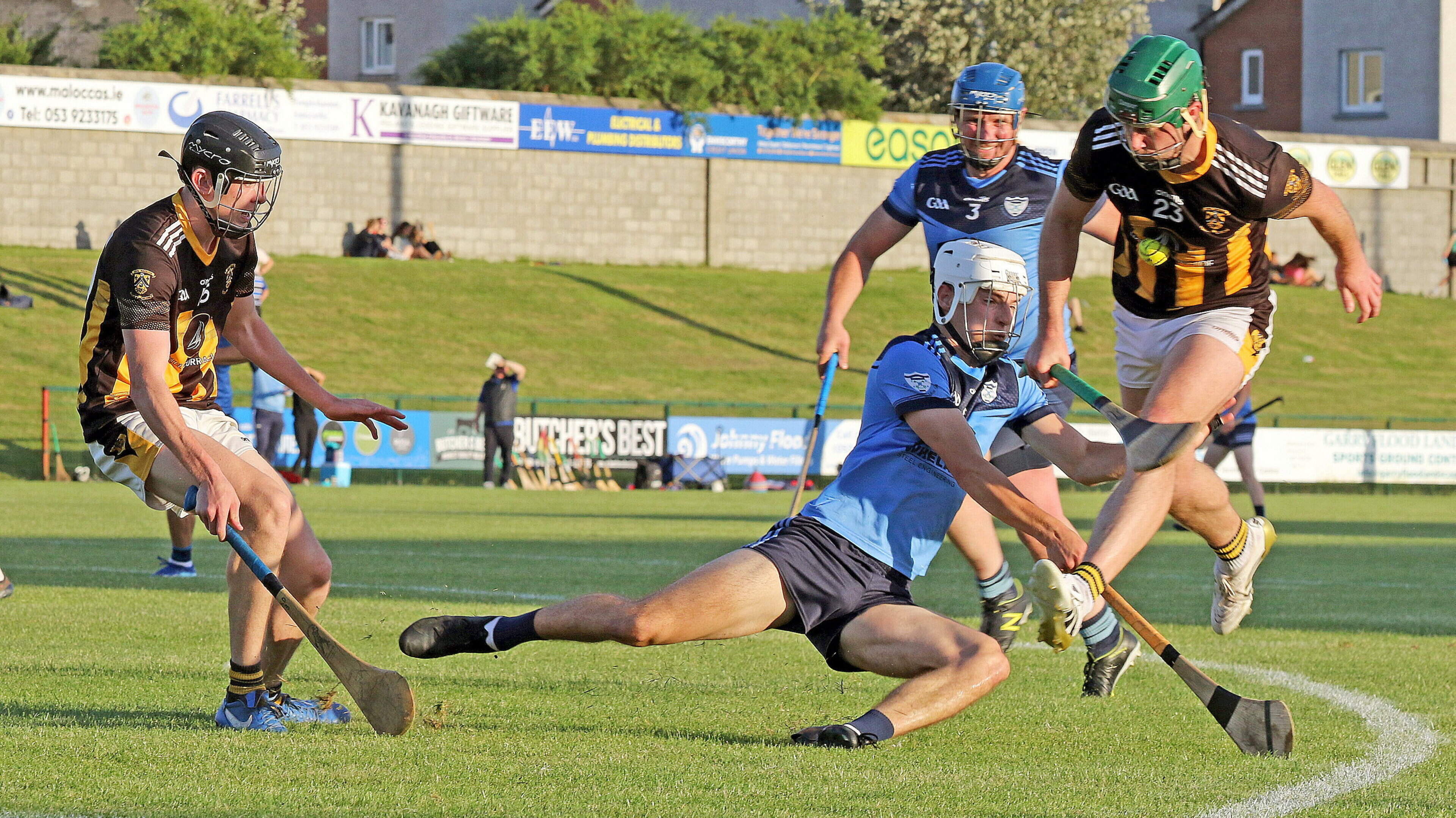Shelmaliers Win Senior Hurling Championship Match