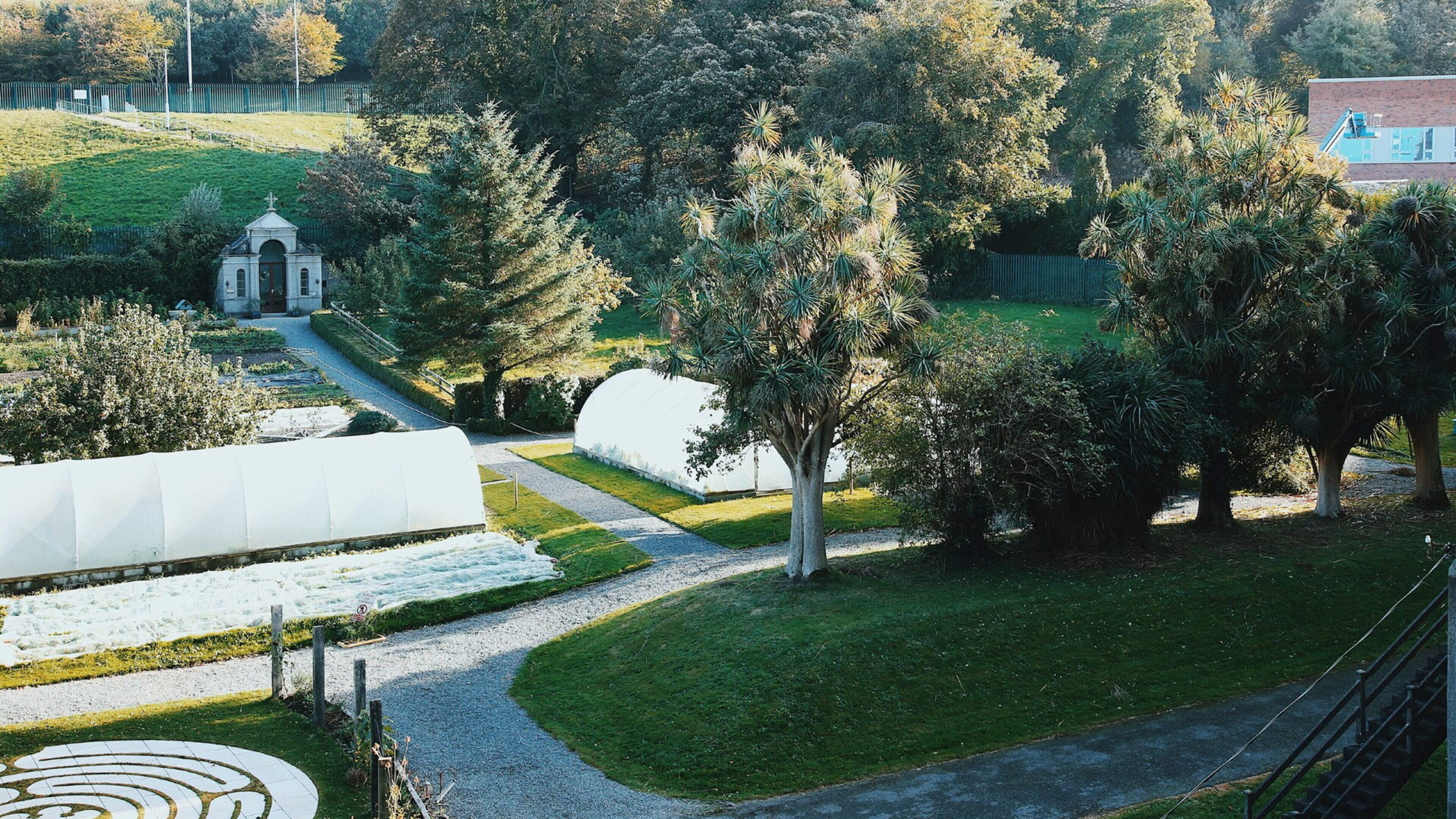 Digital Detox Retreat at An Tairseach Farm