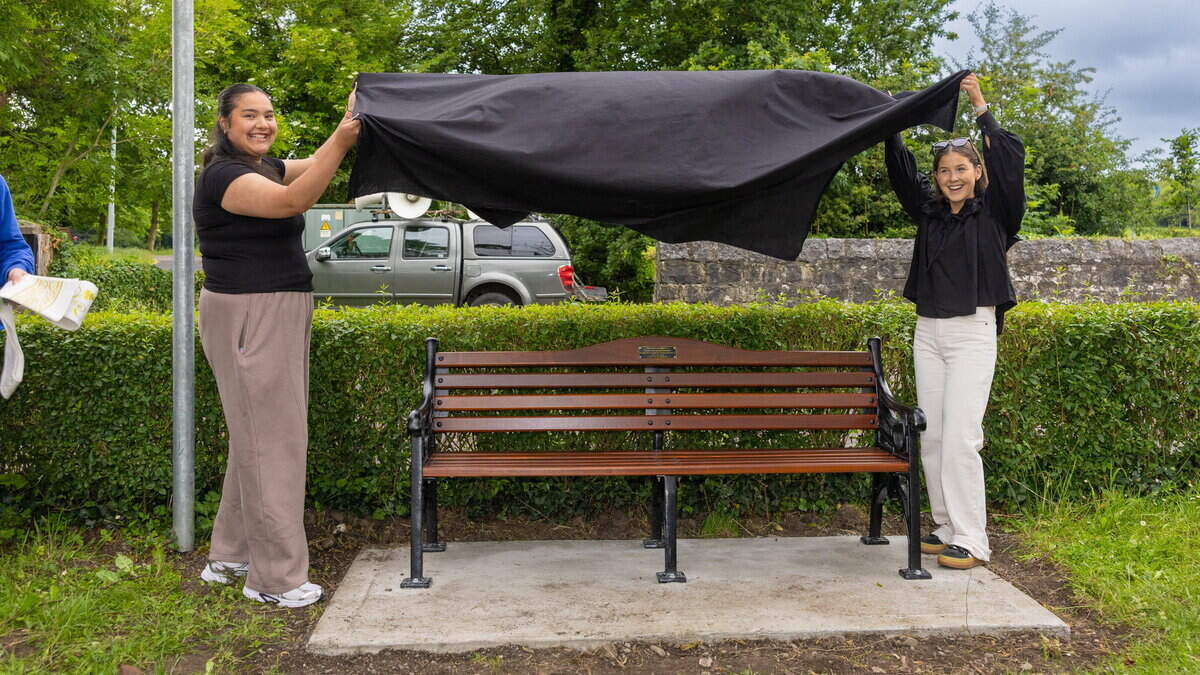 Bench Dedicated to Danny and Eileen Hannon