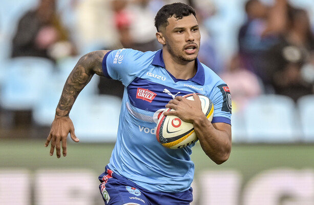 Papier Returns for Springboks Against Scotland
