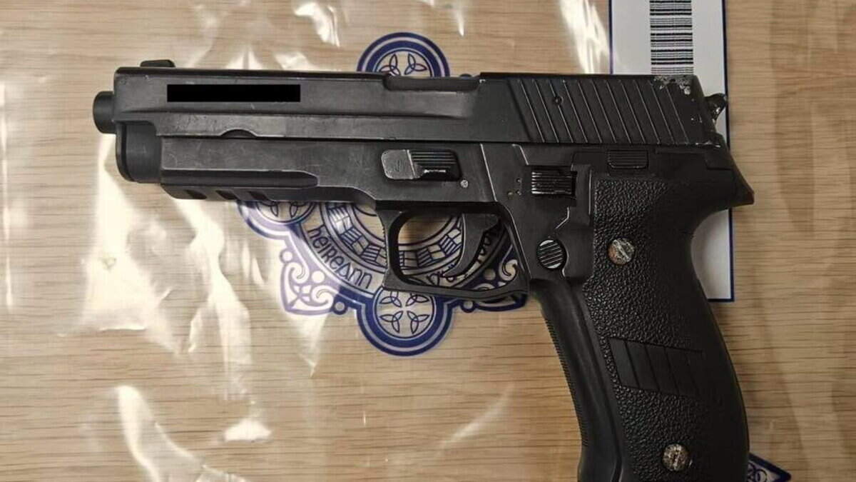 Wexford Gardaí Seize Imitation Firearm After Pursuit