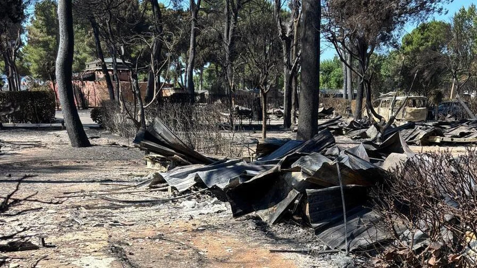 Galway Family Escapes Wildfire in France