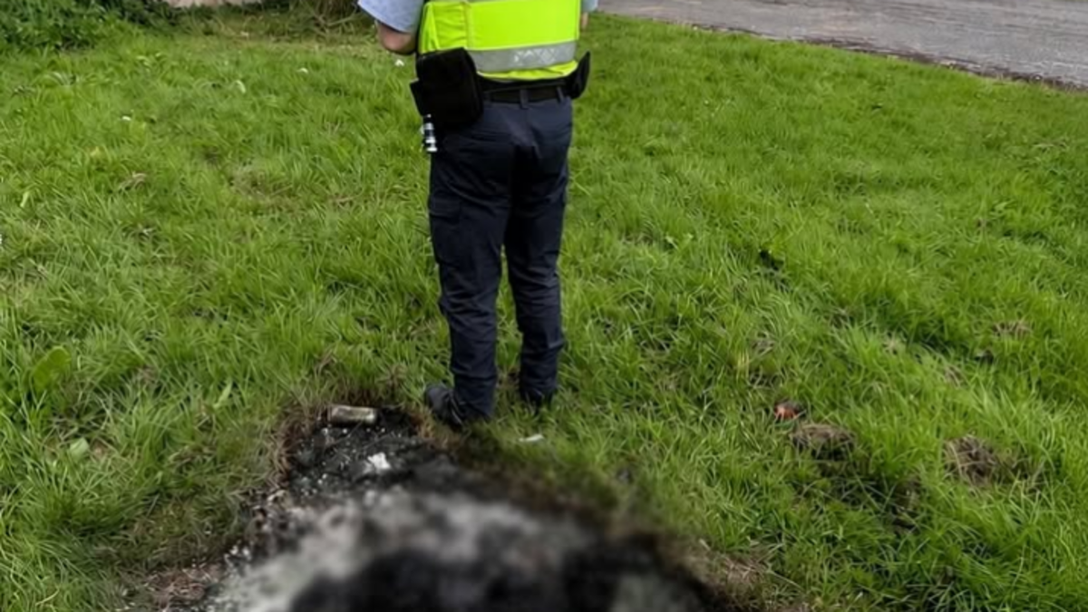 Investigation into Burnt Dog Discovery in Dublin