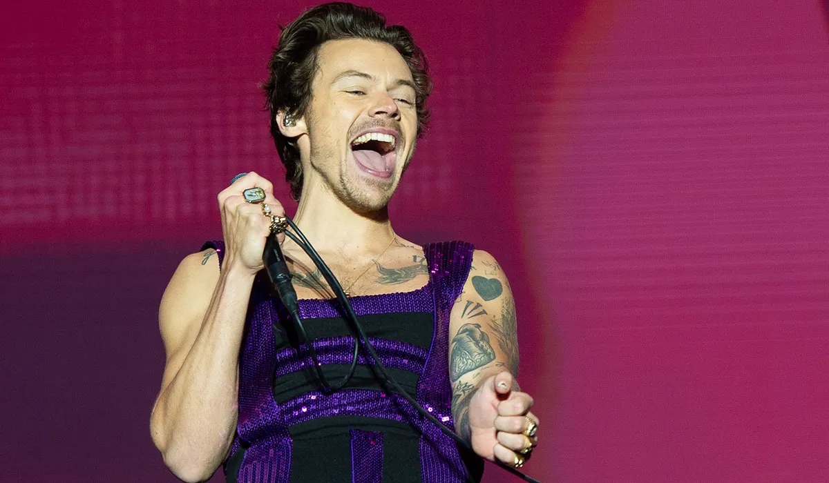 Harry Styles' Mum Shares Sweet Throwback