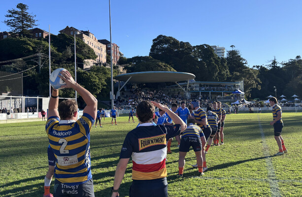 Irish Rugby Players Thrive in Sydney's Shute Shield