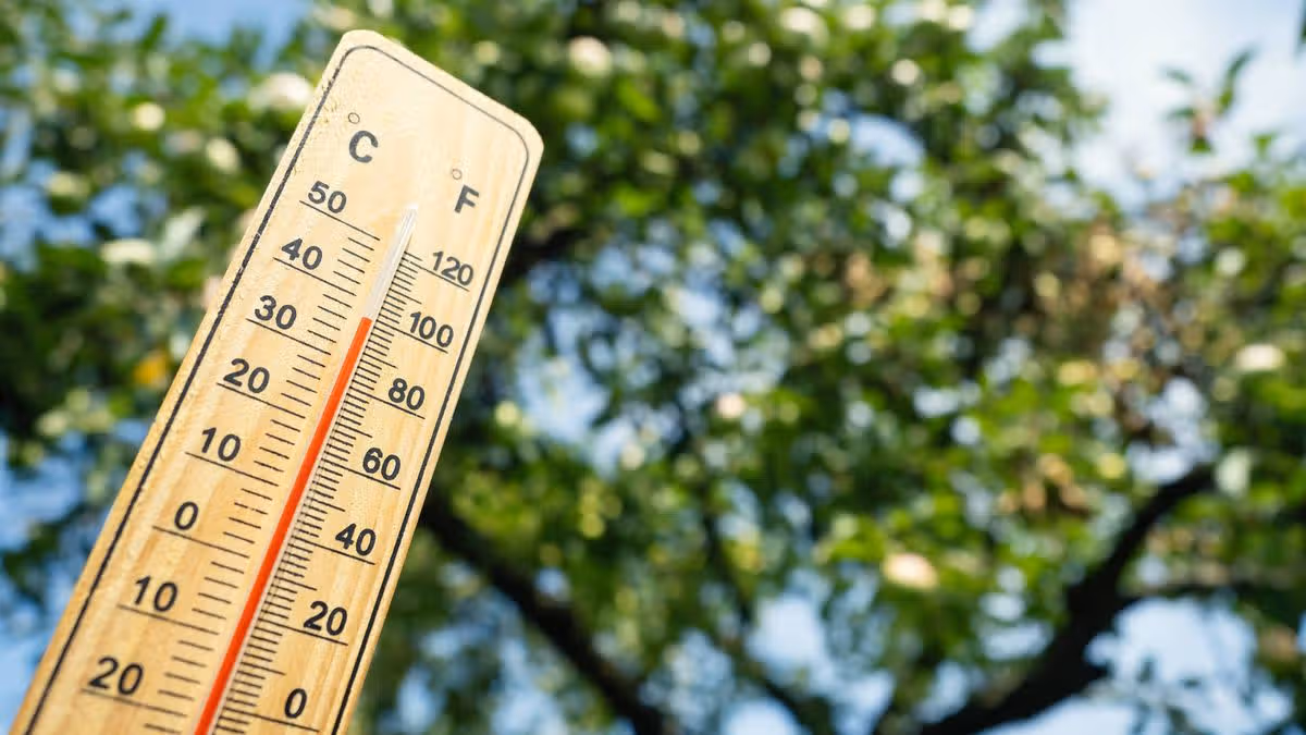 Irish Weather Perception Criticized in New Article