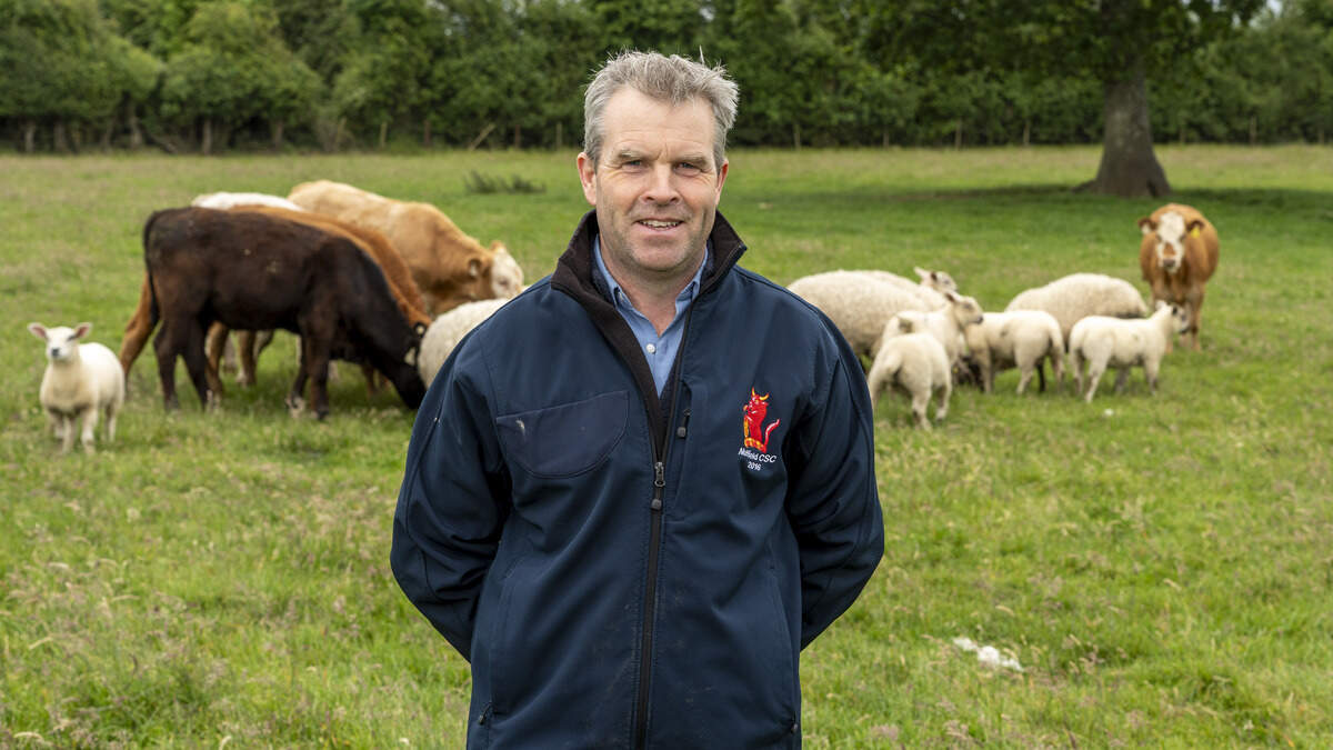 Farmer Faces Crow Challenges in Tipperary