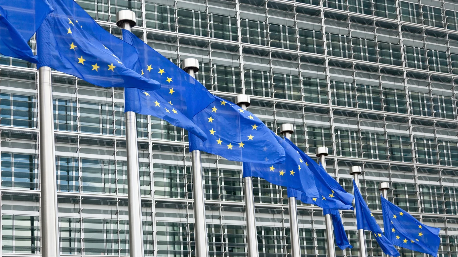 FF MEPs Abstain on Russian Alumina Export Vote