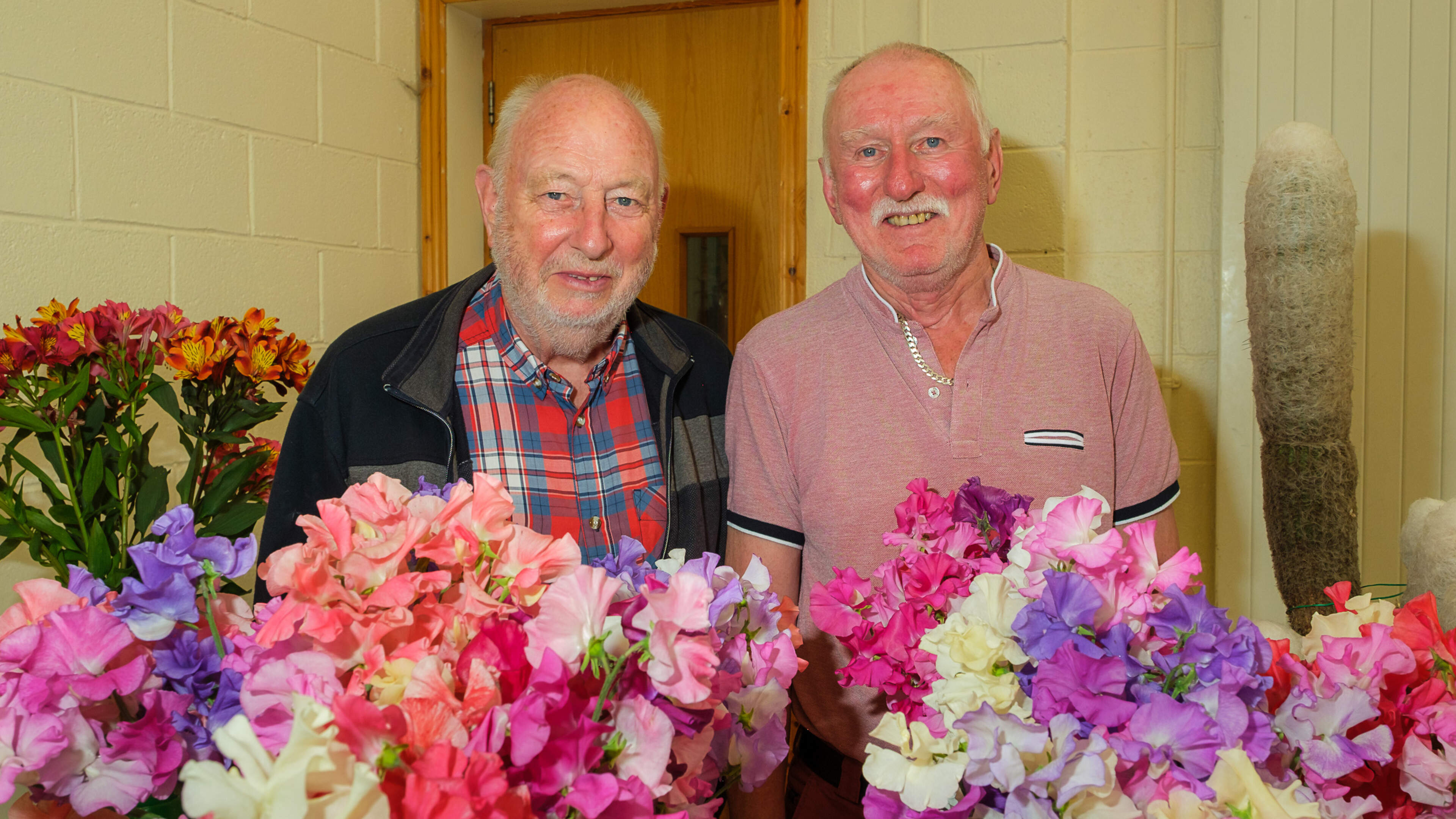 Delgany Rose Show and Local Events Announced