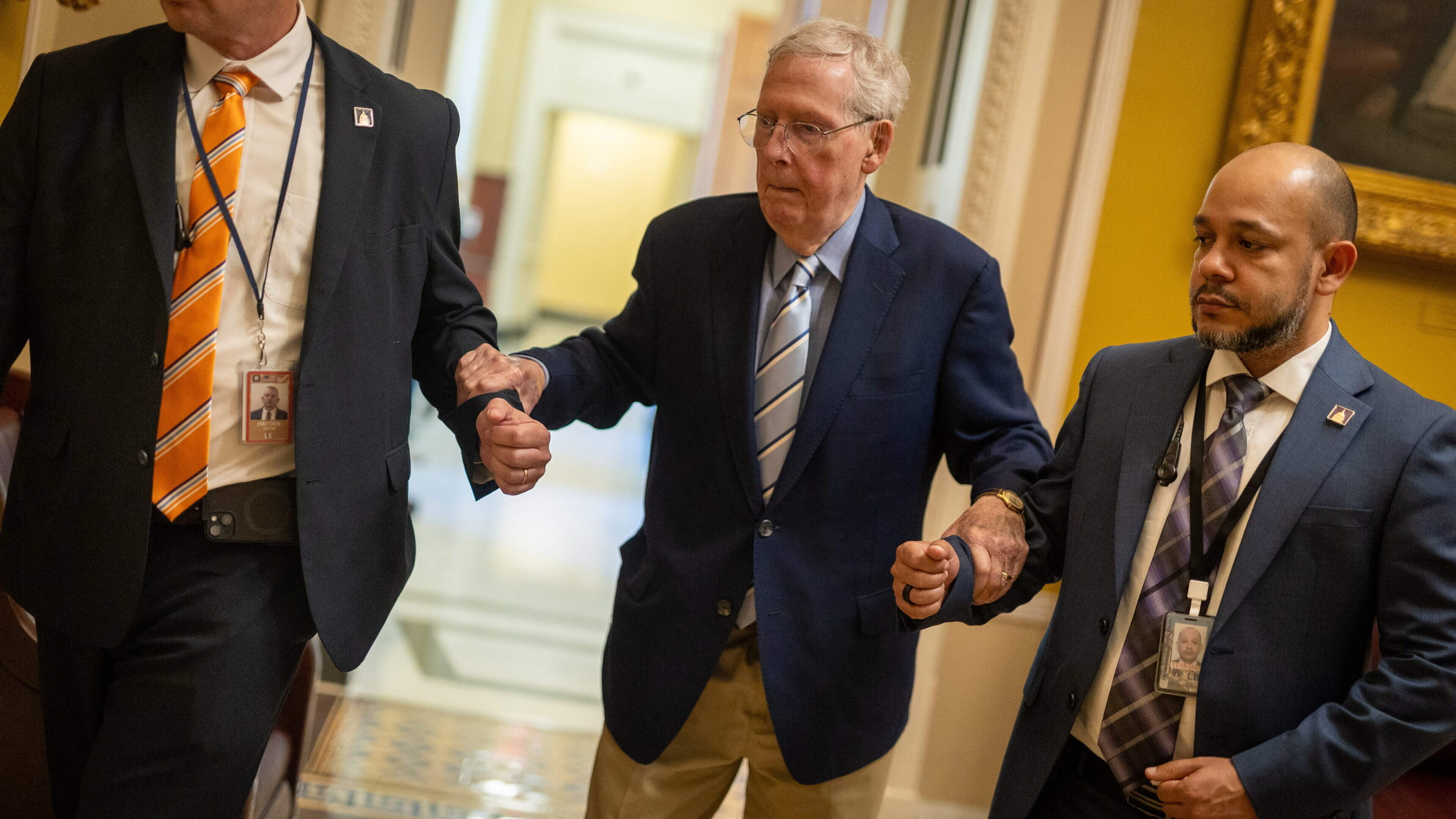 MAGA Activists Question Mitch McConnell's Health