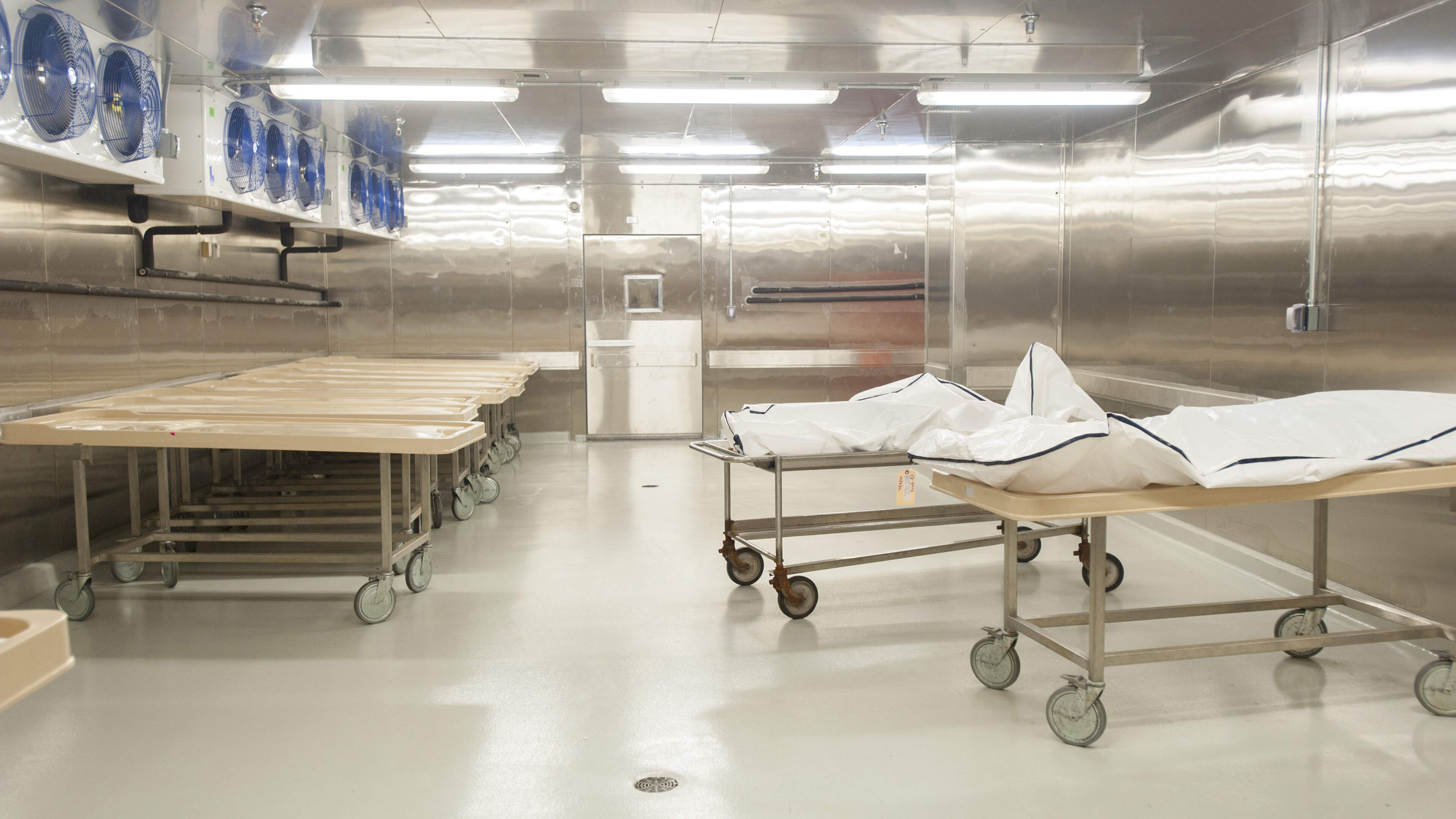 Toddler Found Alive in US Morgue