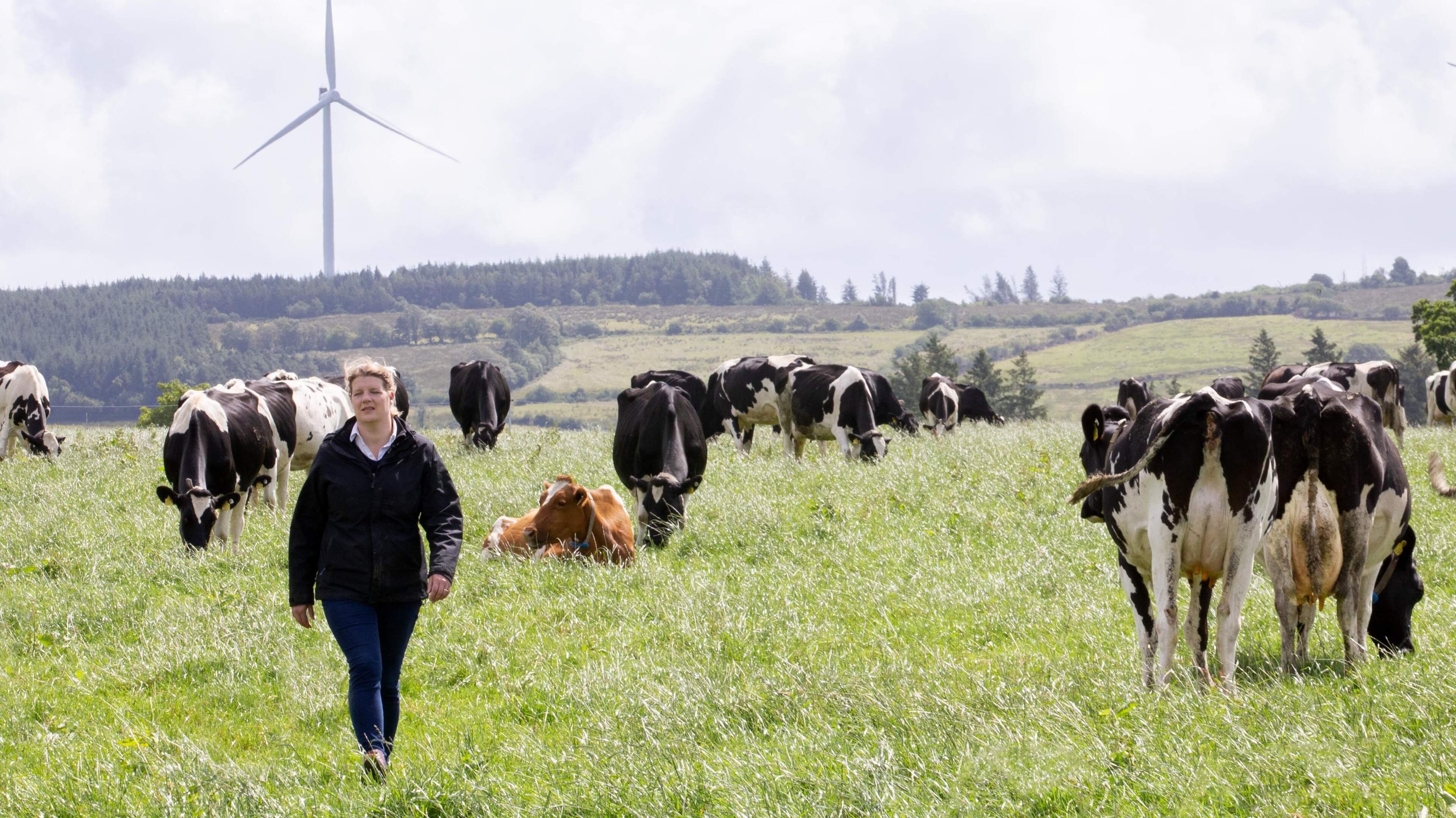 Measuring Grass: A New Farming Insight