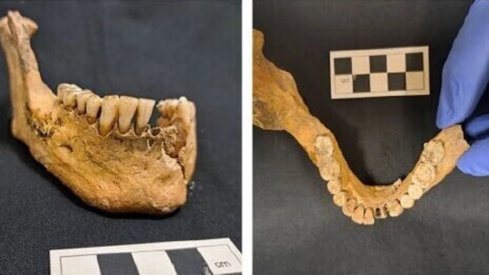 Ancient Human Remains Found in Leitrim Tomb