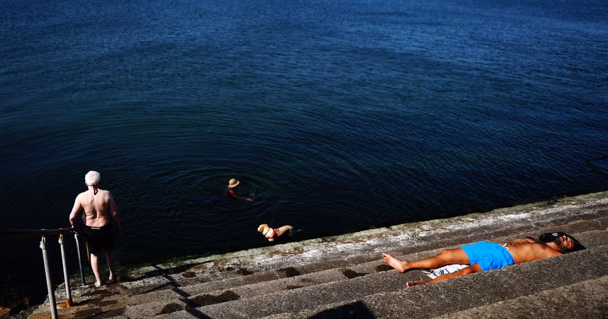 Weekend Temperatures Expected to Reach 29°C