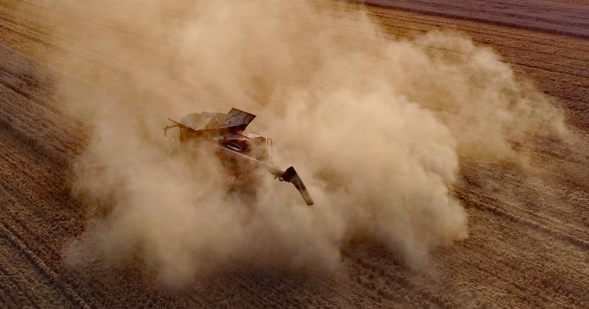 Heatwave Causes Early Harvests and Hosepipe Bans