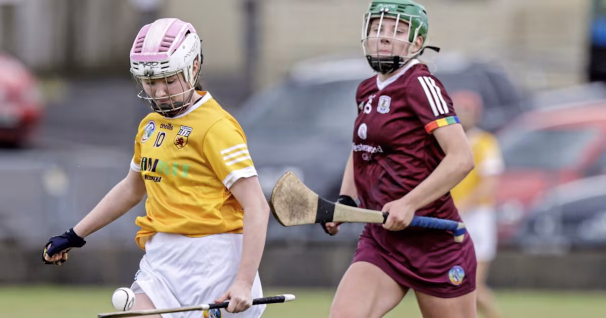 All-Ireland camogie semi-finals venues and times announced