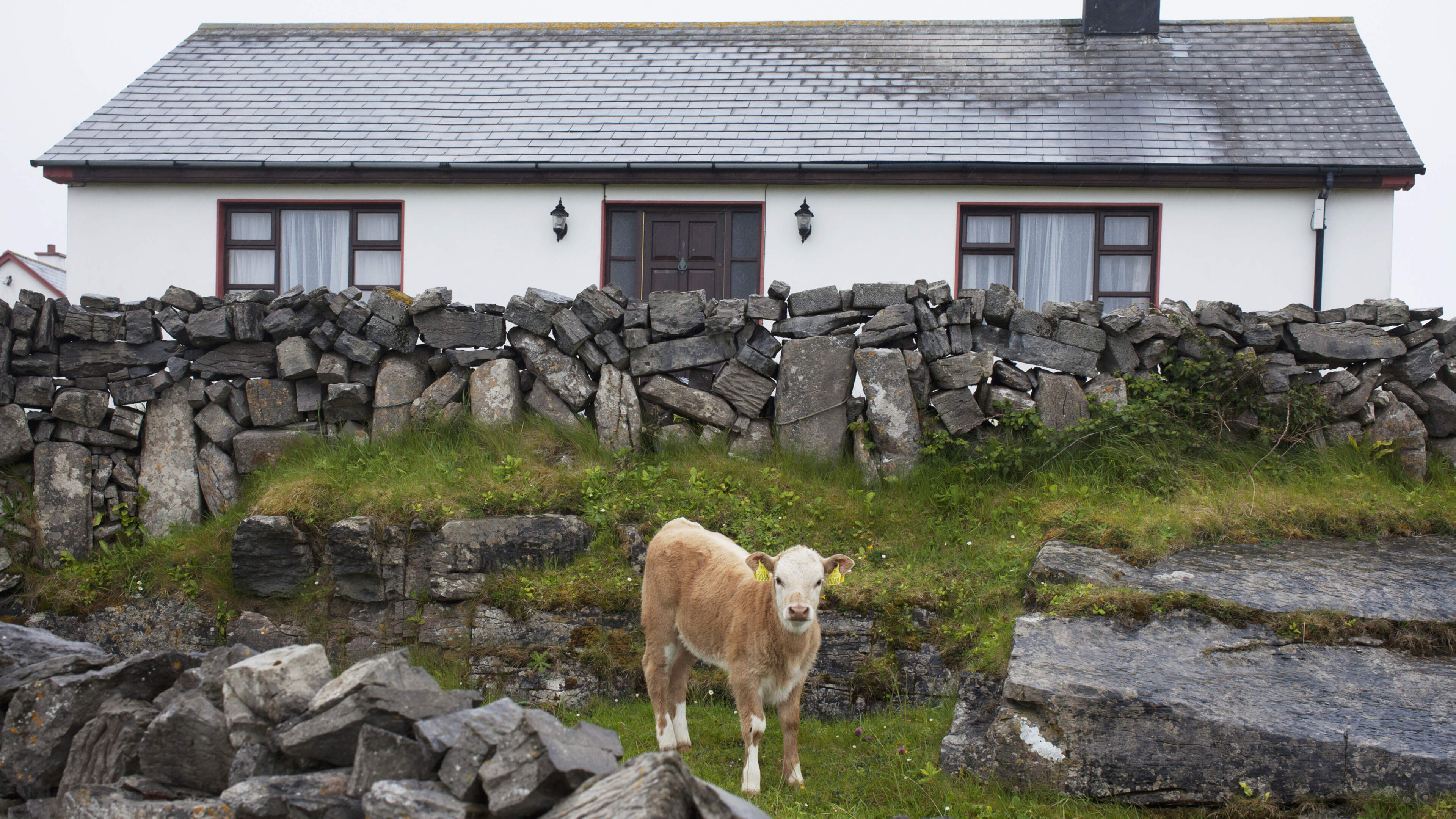 Government Eases Rural Housing Regulations