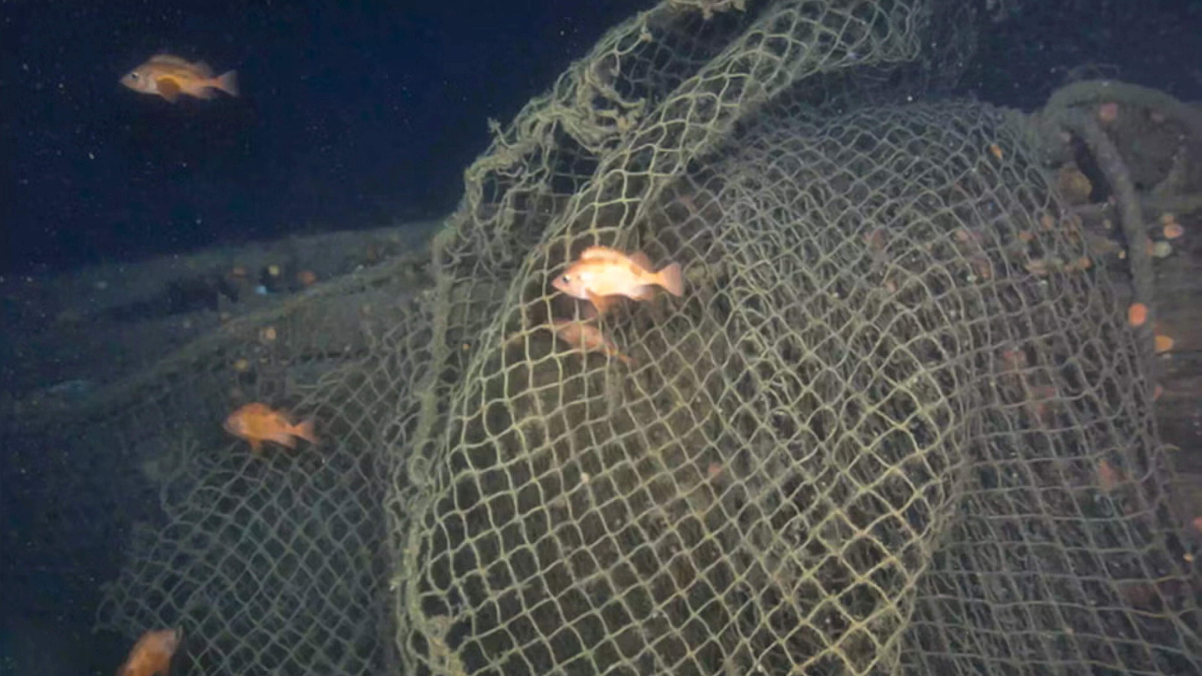 Close-up Images of Shackleton's Ship Captured