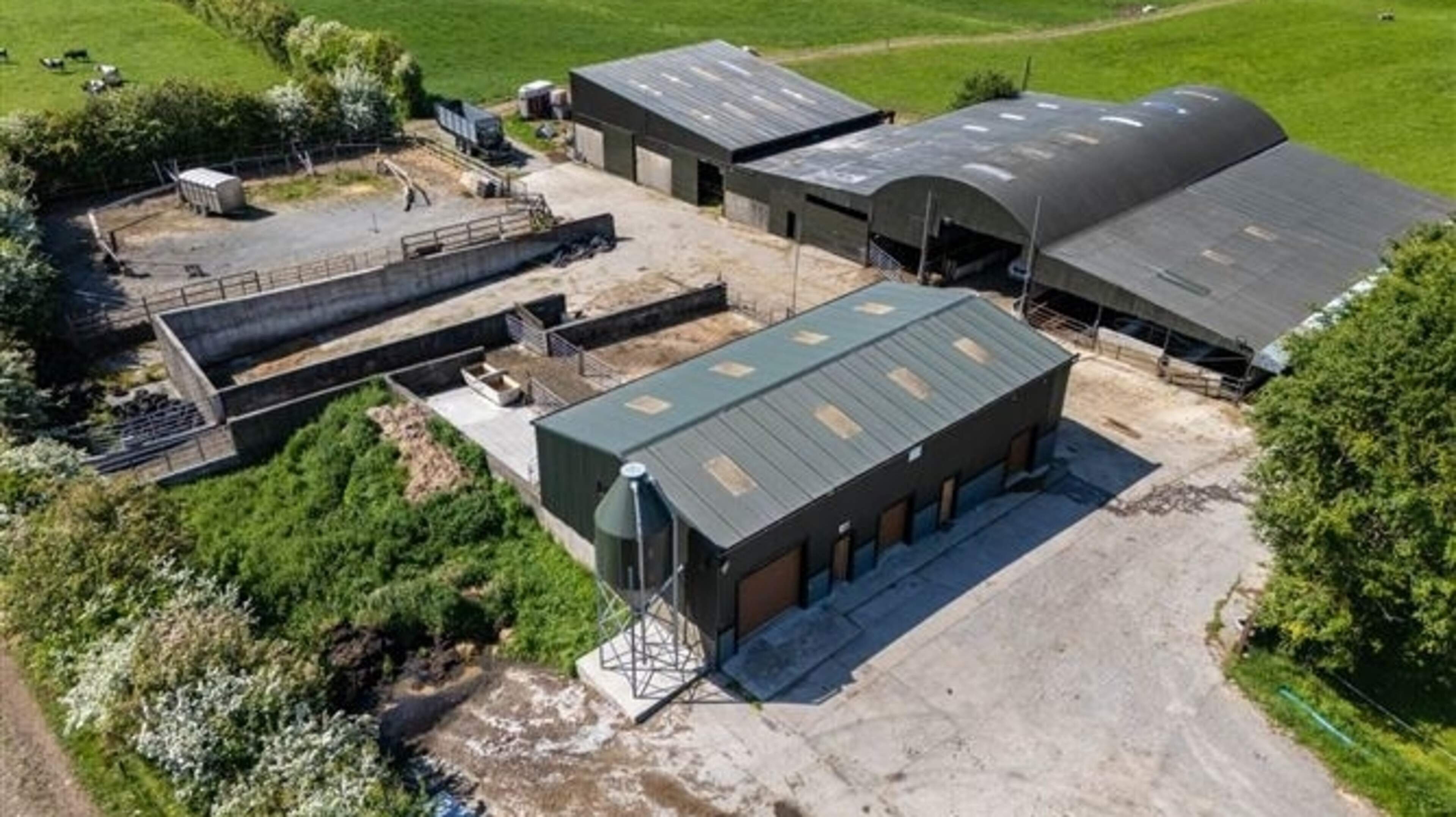 Dairy Farm in Westmeath Listed for €1 Million