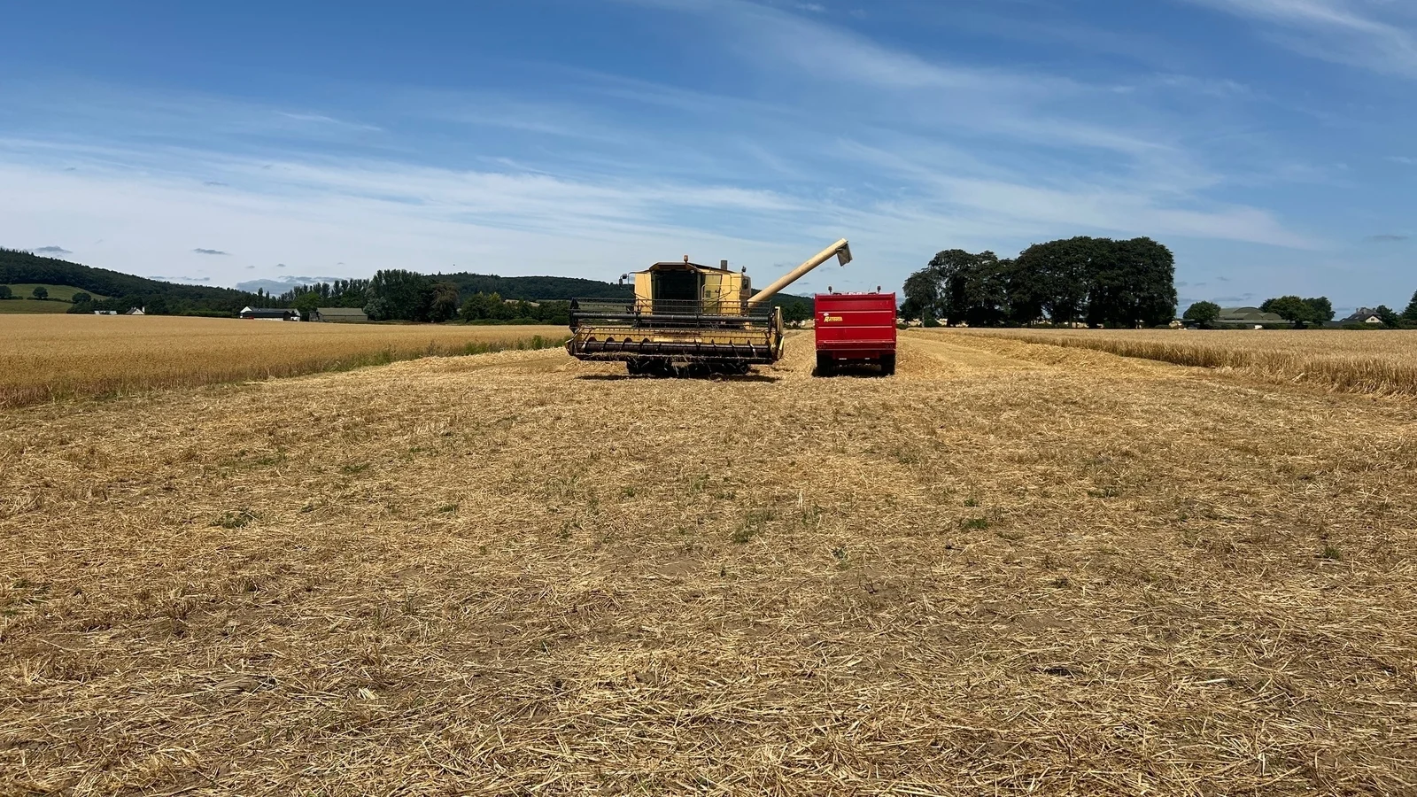 Irish Farmers Begin Early Harvesting Amid Climate Concerns