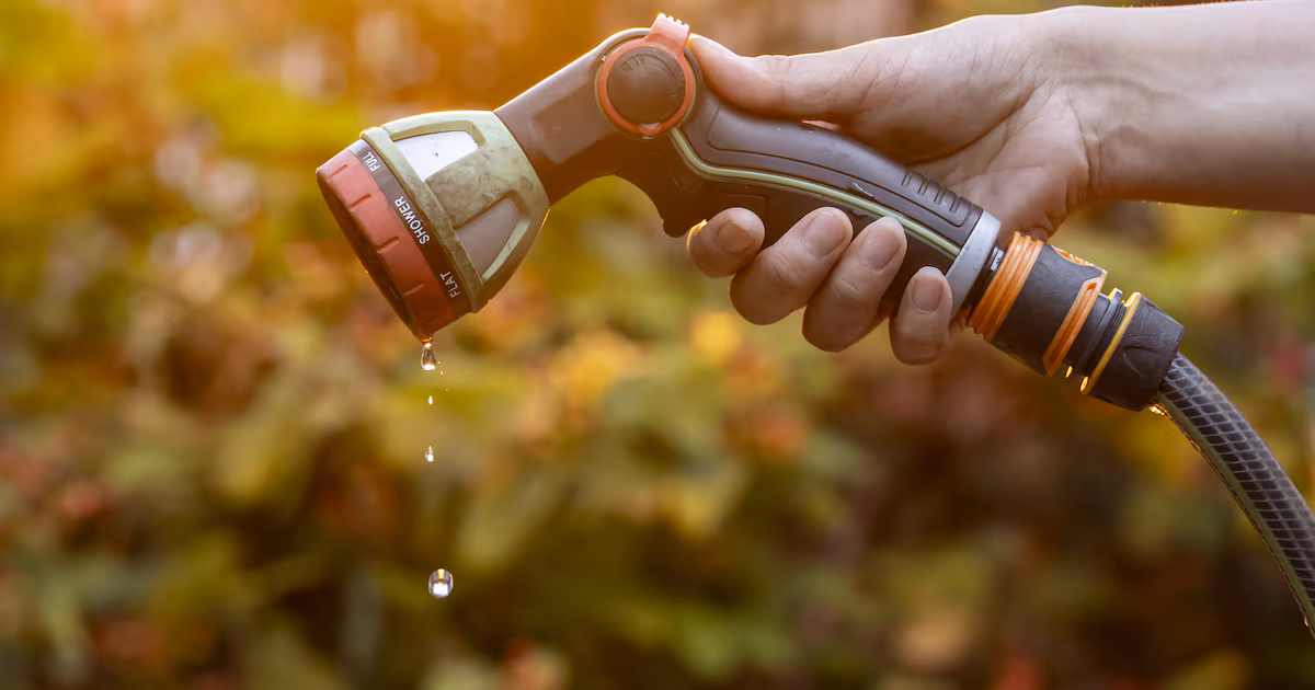 Hosepipe Ban Enforced Amid UK Heatwave