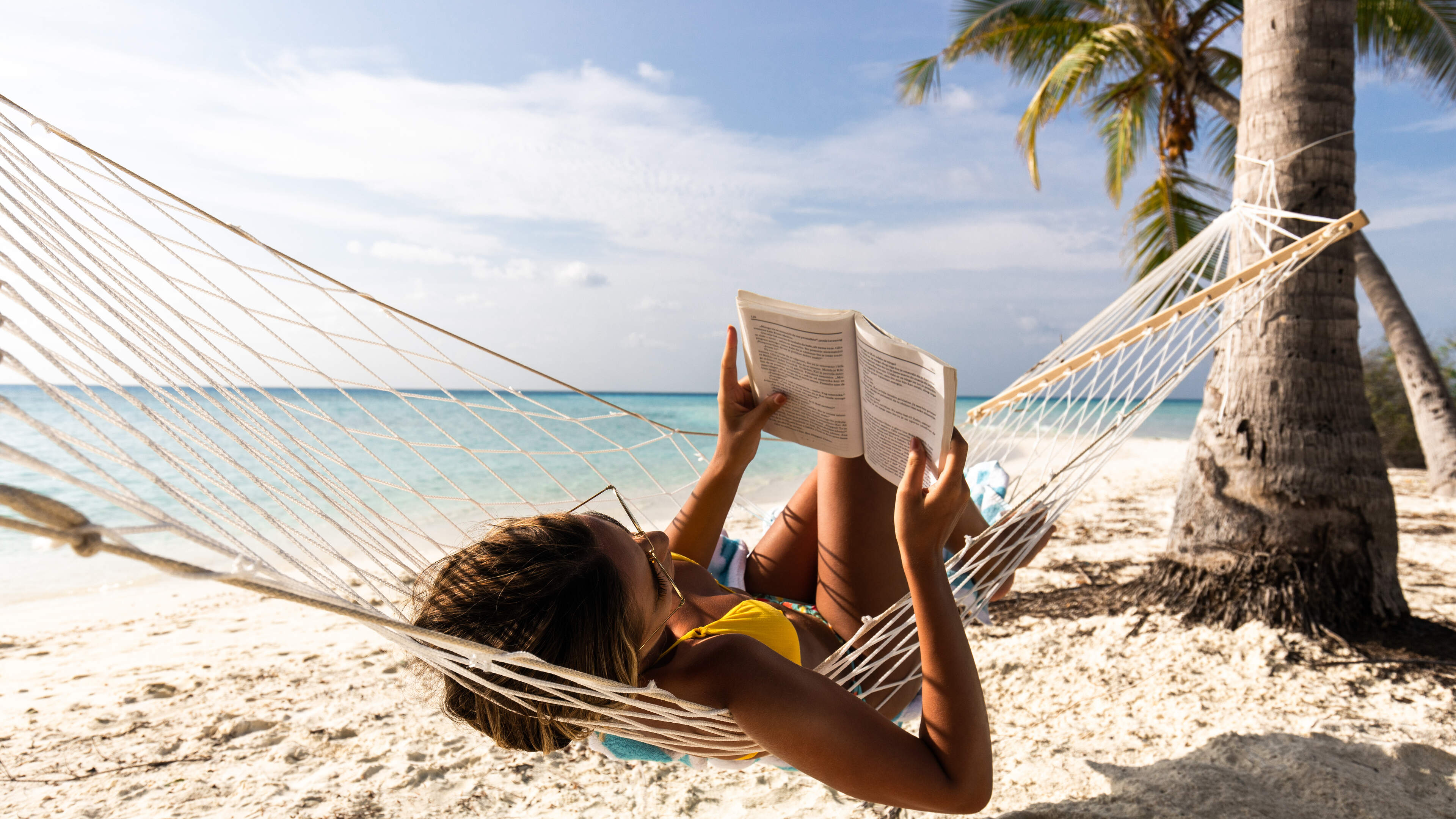 Summer Reading Recommendations and Recent News