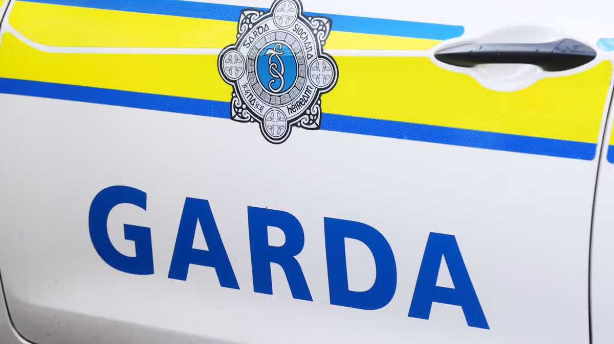 Garda Assaulted During Arrest in Limerick