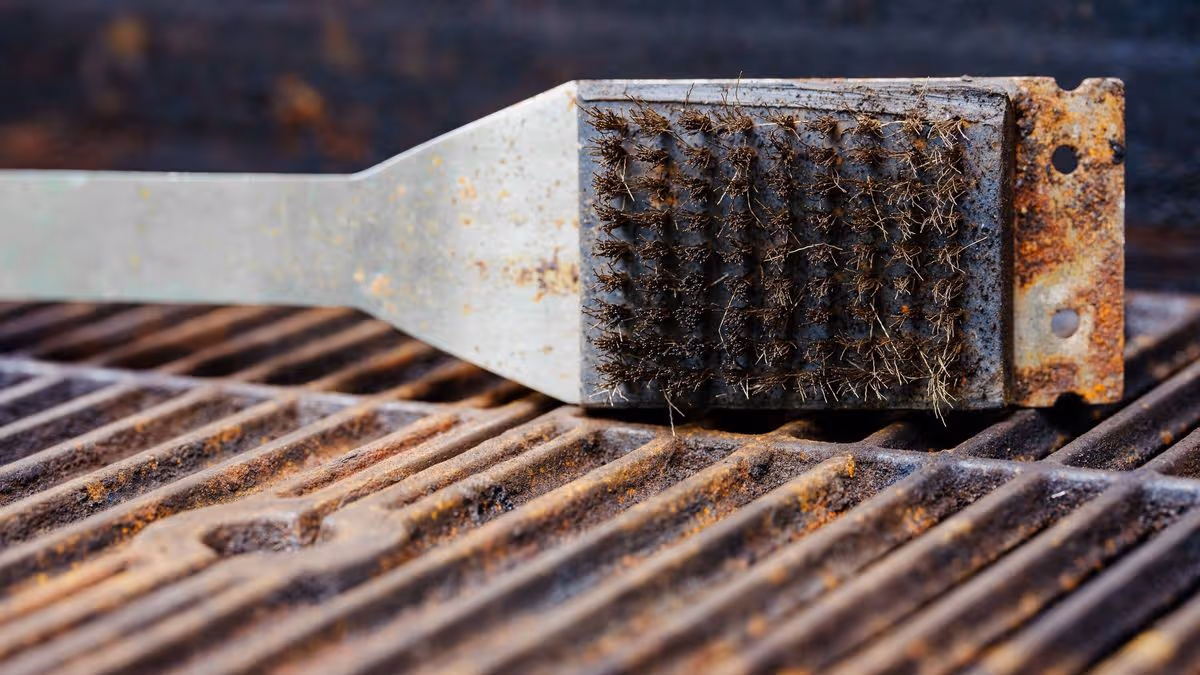 Concerns Over Disposable Barbecues and Environment