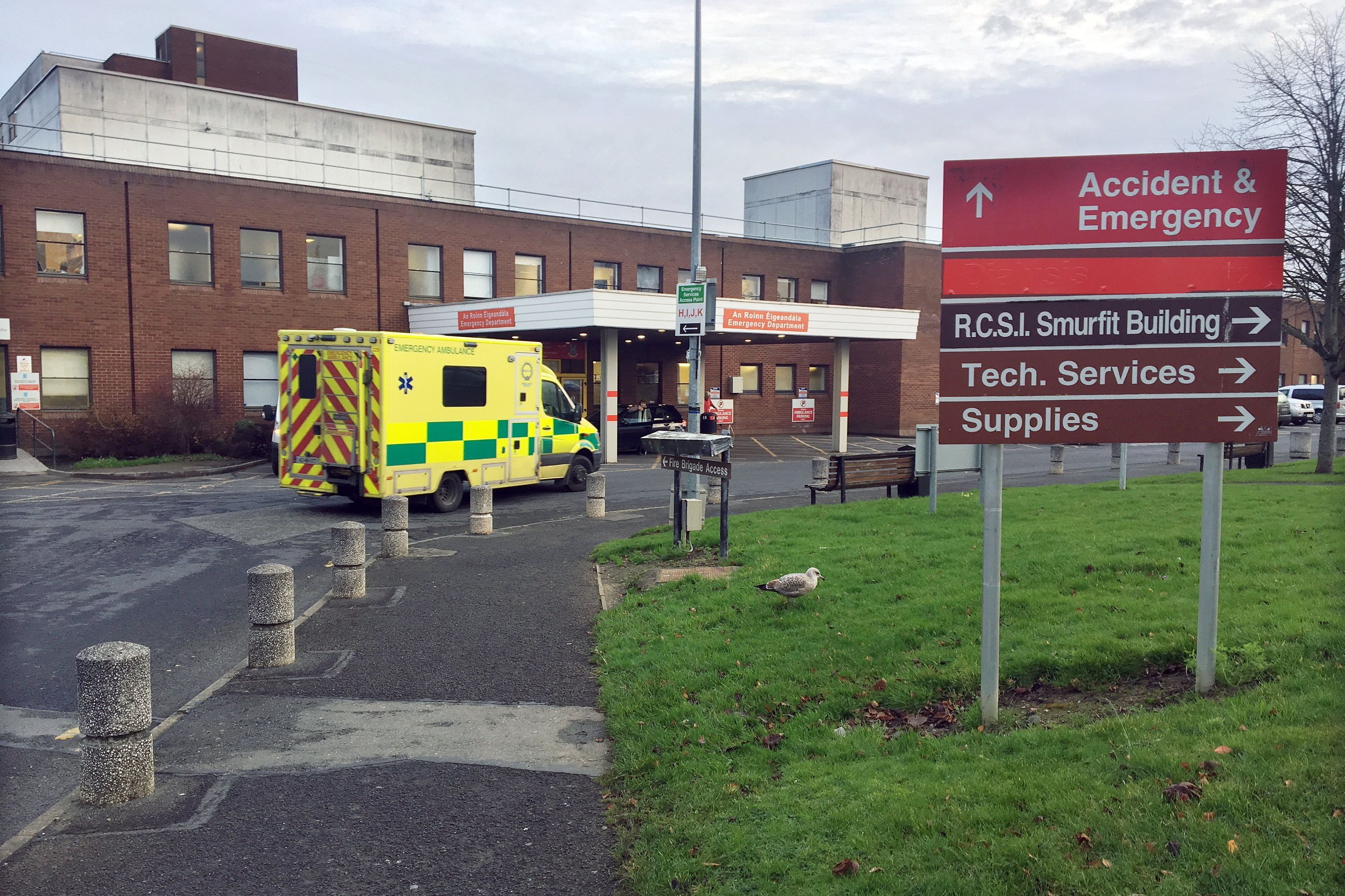 Consultants Avoid Shifts at Dublin Hospital