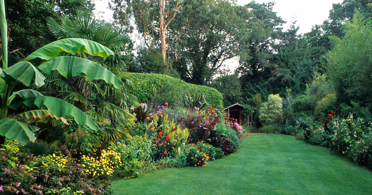 Assessing Your Garden in High Summer