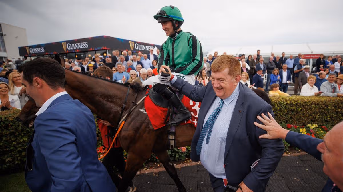 Hewick the €850 wonder horse retires from racing