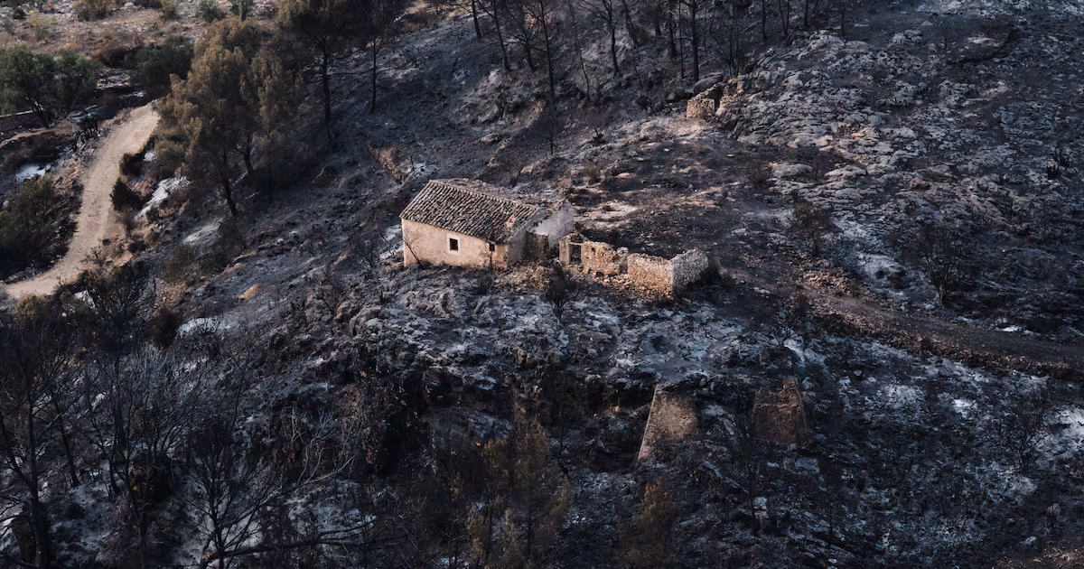 Wildfire in Spain kills at least 12 people