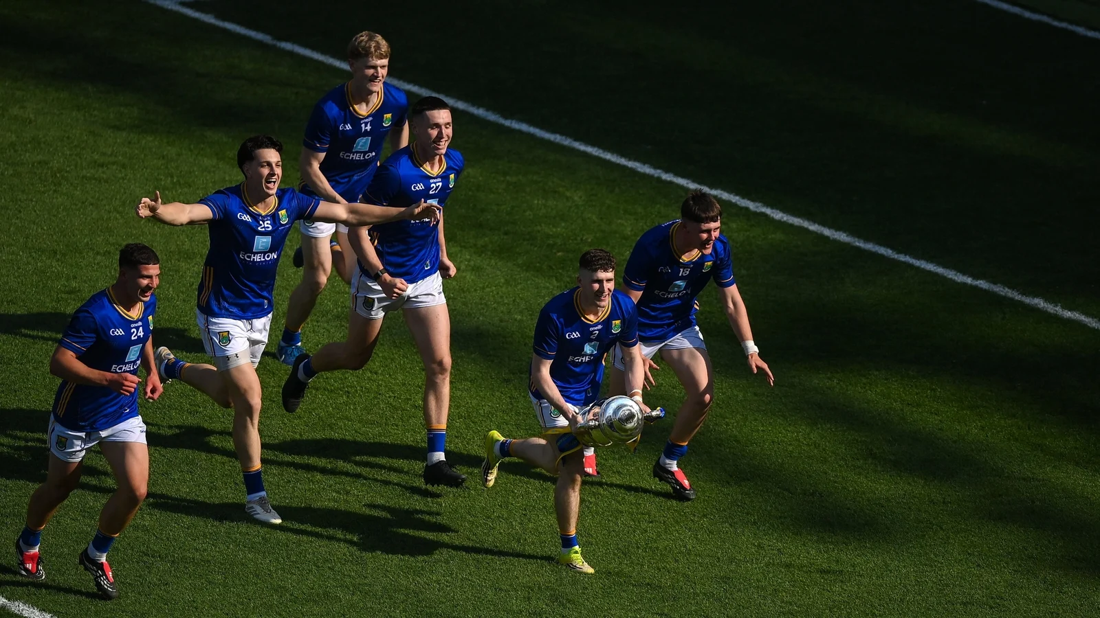 Wicklow Wins Tailteann Cup After Dramatic Comeback