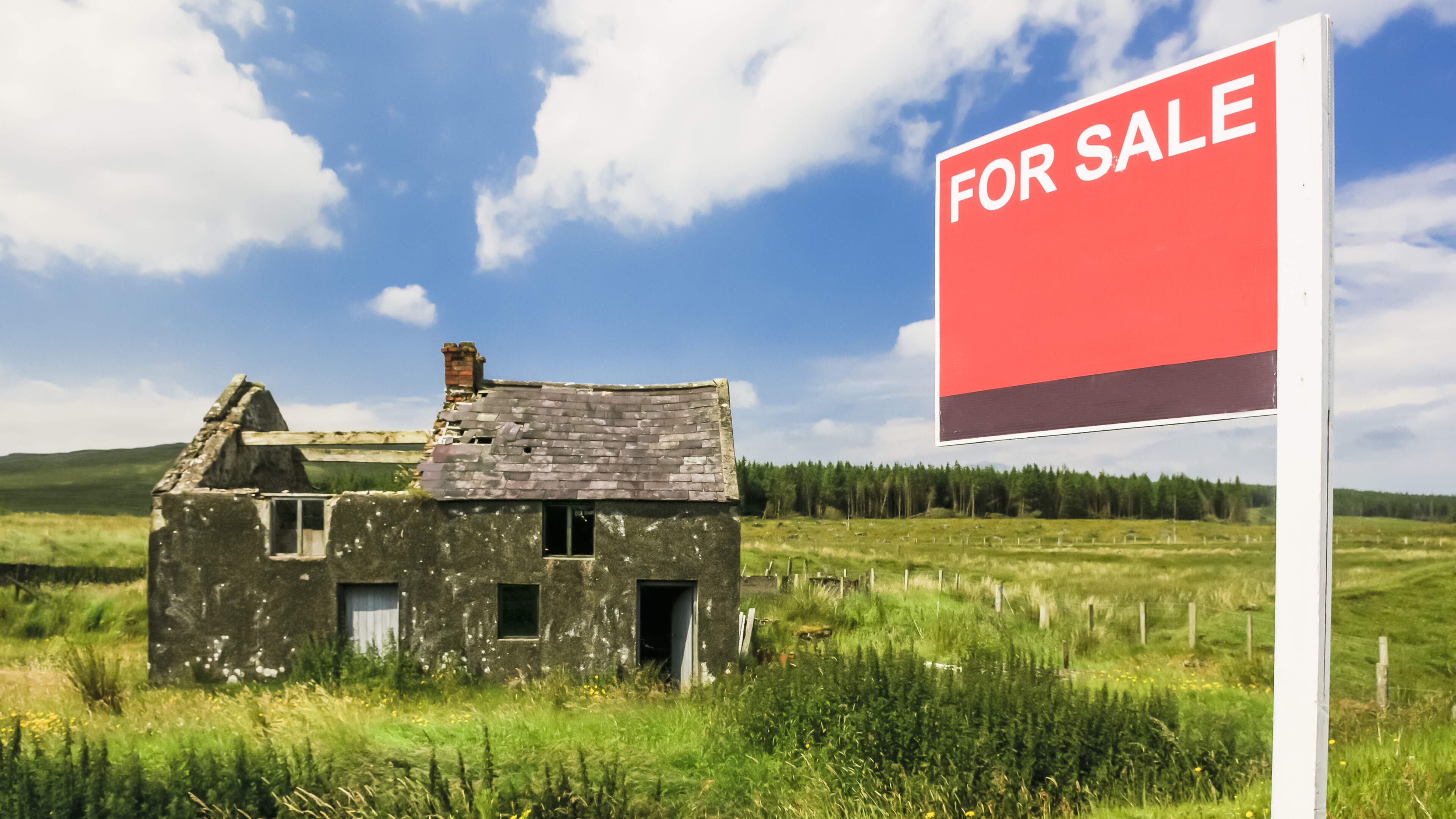 Wexford Faces Housing Crisis with Derelict Homes