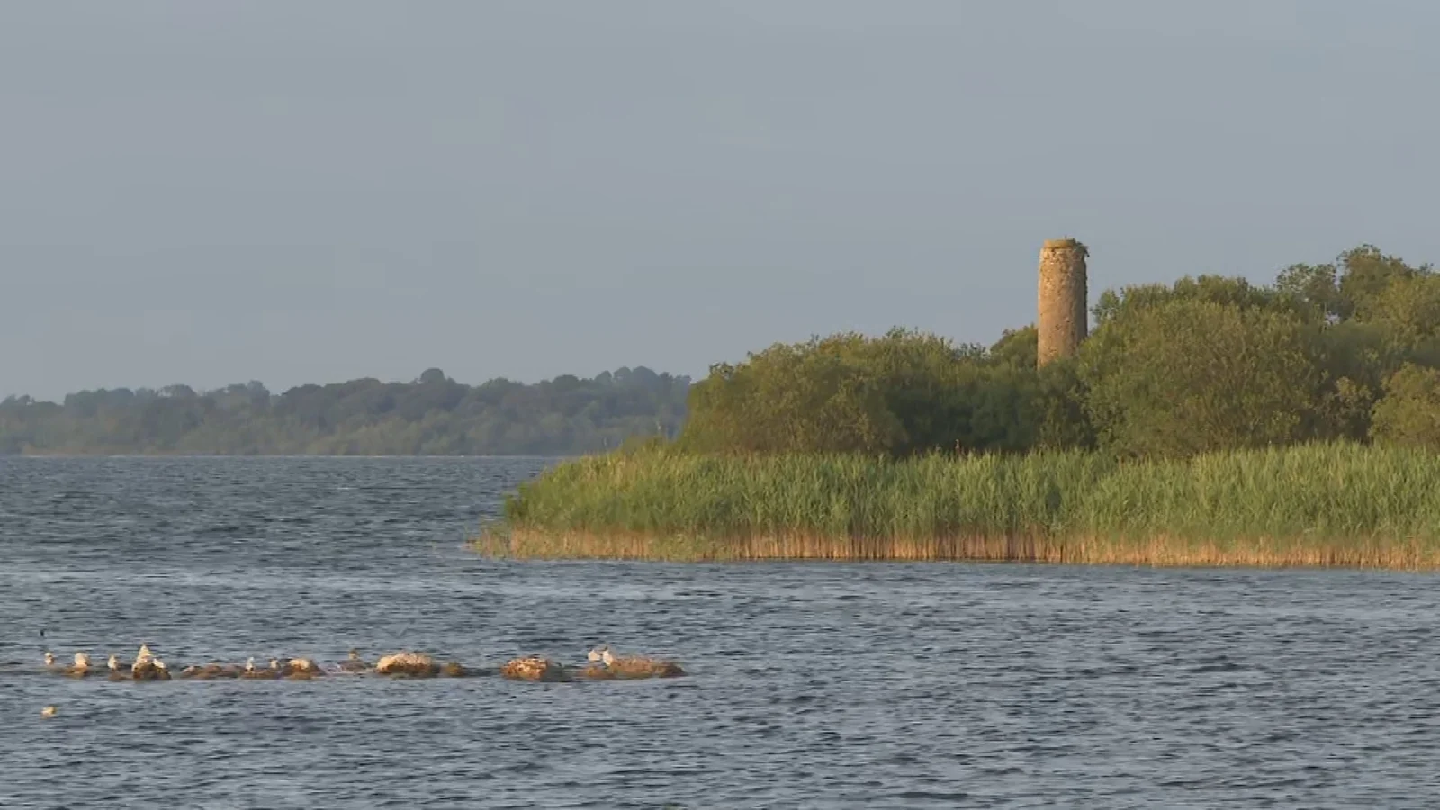15-Year-Old Boy Dies in Lough Ree Incident