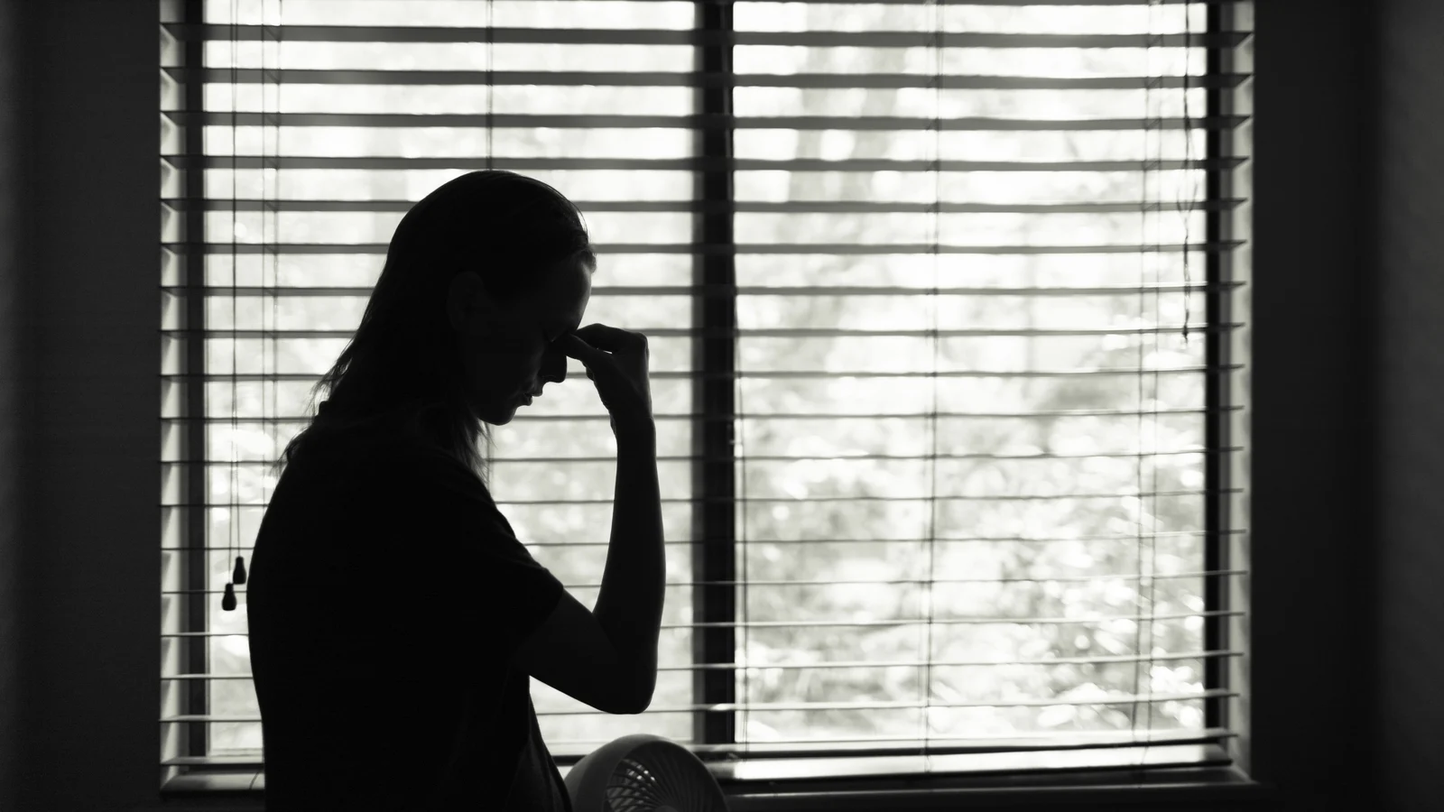 Legal Aid Shortage for Domestic Violence Cases