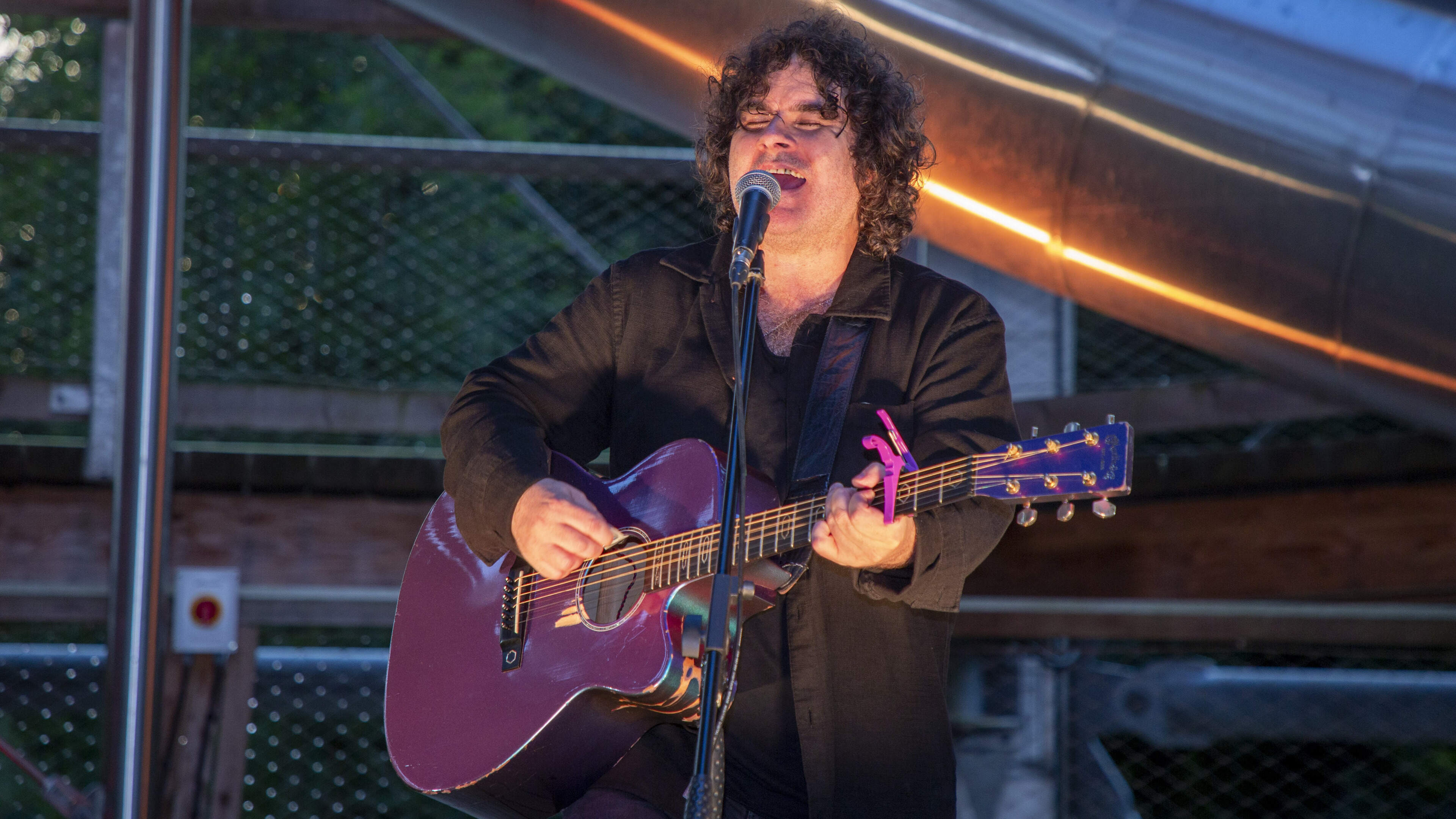Paddy Casey Concert at Beyond the Trees Avondale